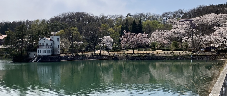 桜ヶ池