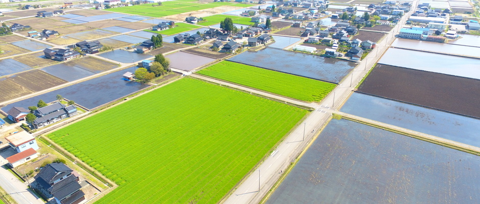 石黒東部地区